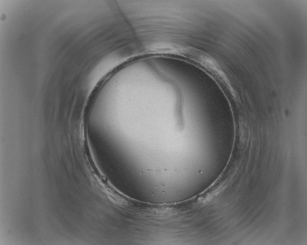 X0000063461328200601271554