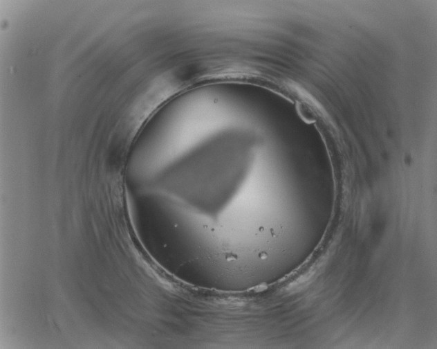 X0000063461329200601271554