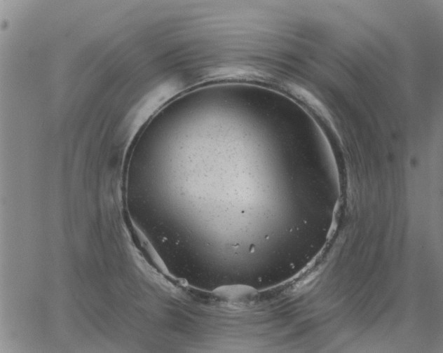 X0000063461330200601271554