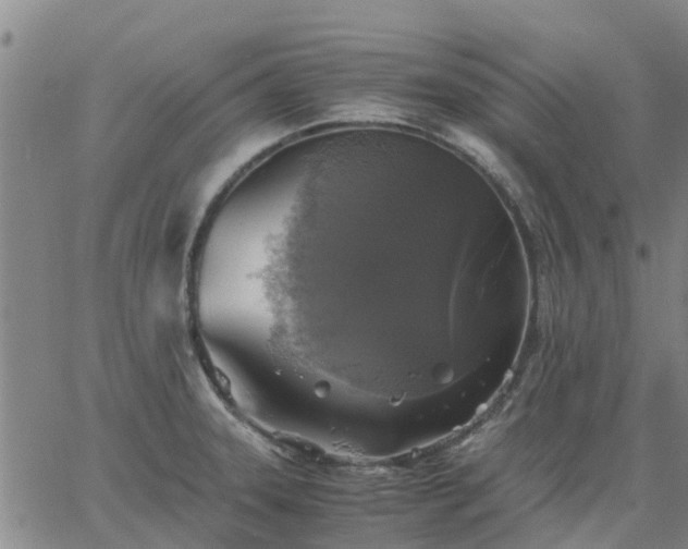 X0000063461331200601271554