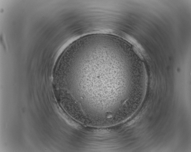 X0000063461332200601271554