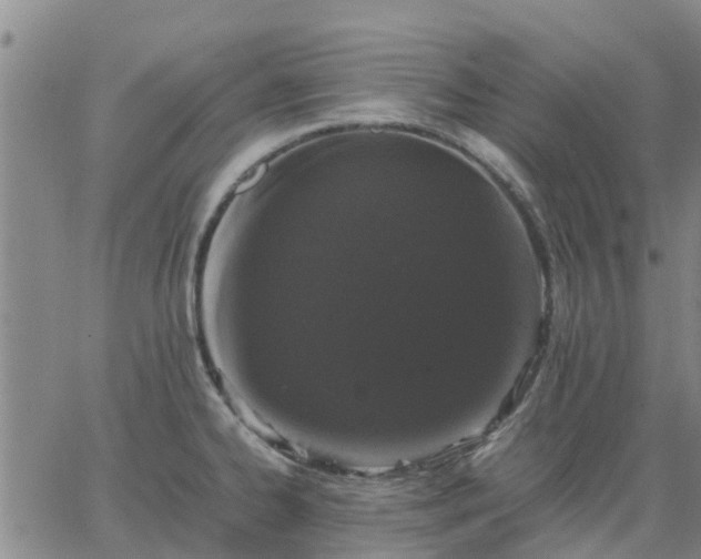 X0000063461334200601271554