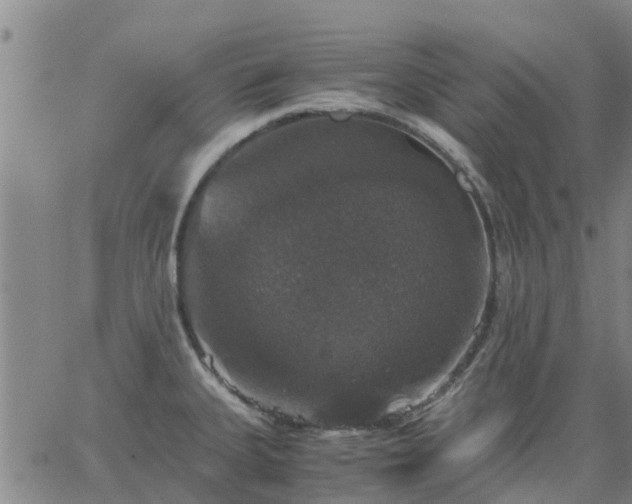 X0000063461335200601271554