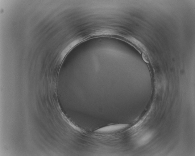 X0000063461337200601271554