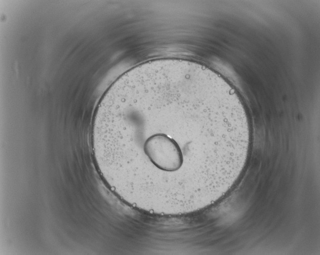 X0000063461338200601271555