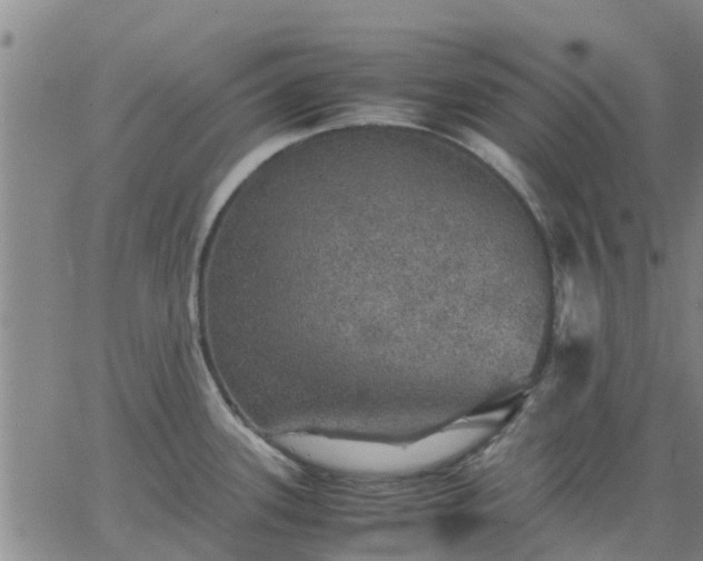 X0000063461339200601271555