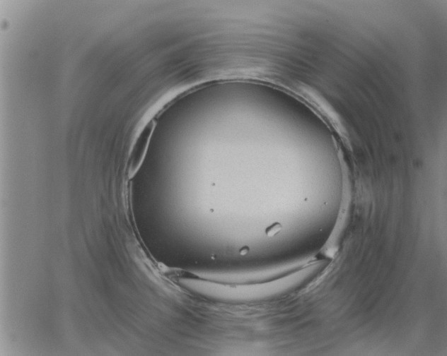 X0000063461340200601271555