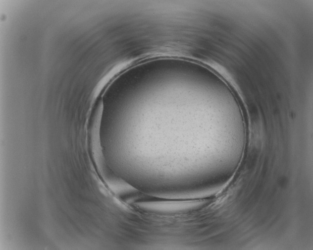 X0000063461341200601271555