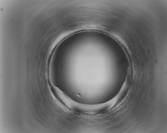 X0000063461342200601271555