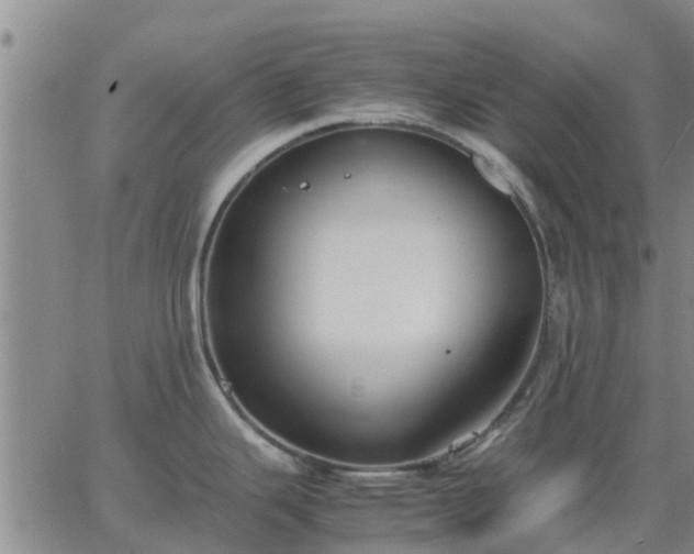 X0000063461343200601271555