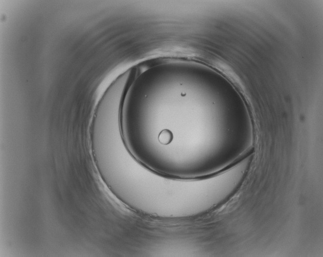 X0000063461344200601271555