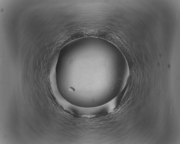 X0000063461345200601271554