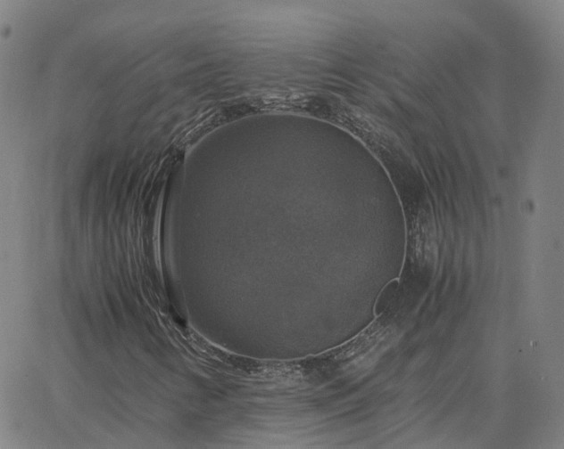 X0000063461346200601271554