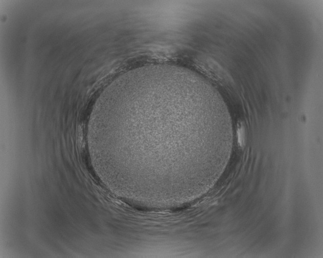 X0000063461347200601271554