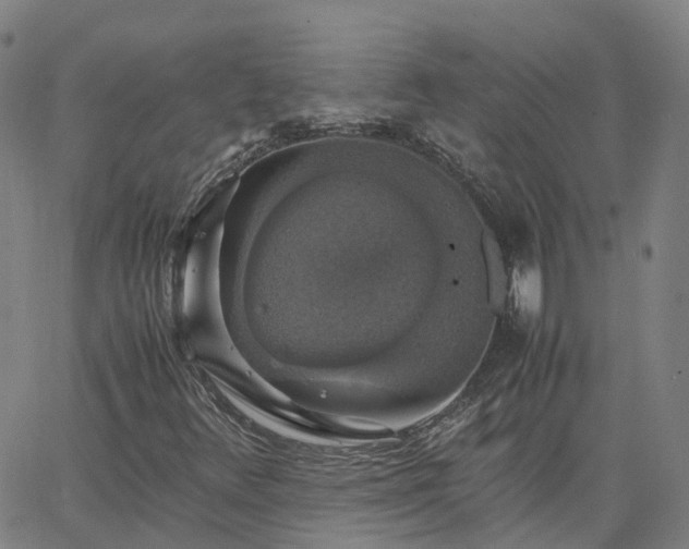 X0000063461348200601271554