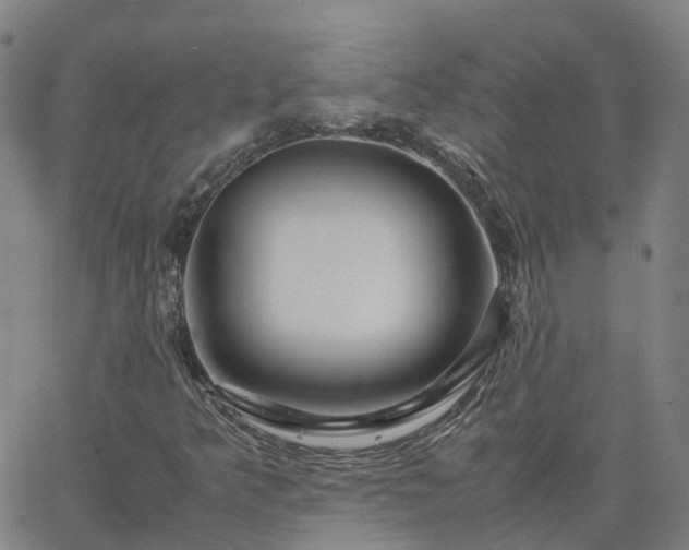 X0000063461349200601271554