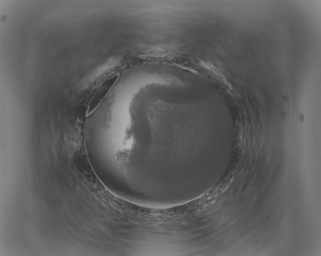 X0000063461350200601271554