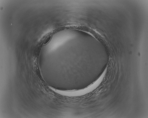 X0000063461351200601271554