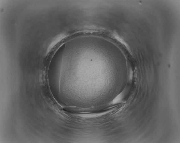 X0000063461352200601271554