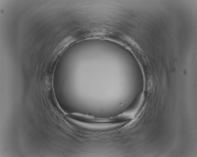 X0000063461353200601271554