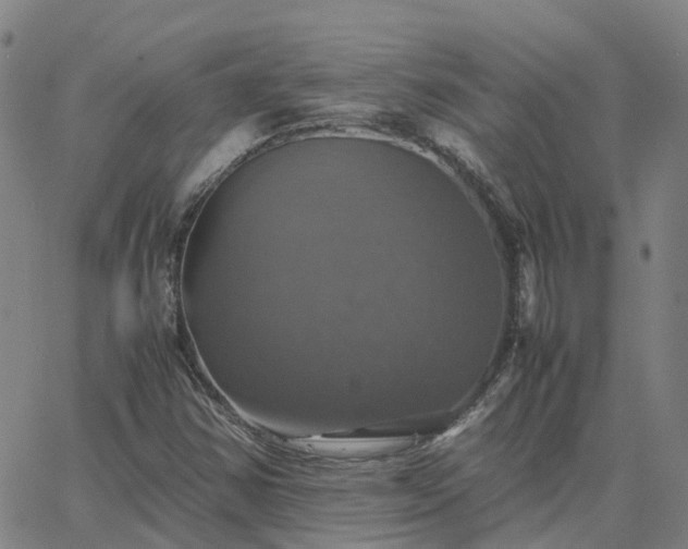 X0000063461354200601271554