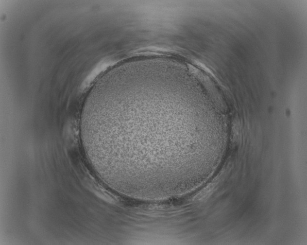 X0000063461355200601271554