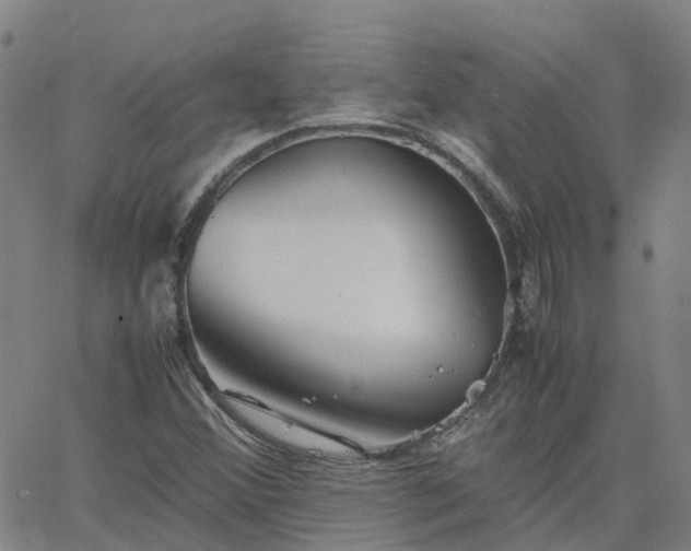 X0000063461356200601271554