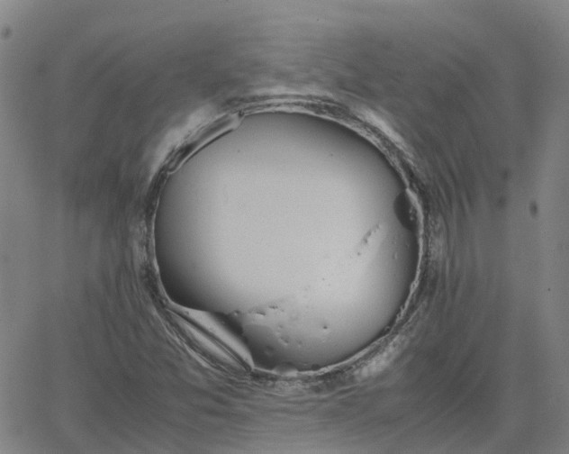 X0000063461357200601271554