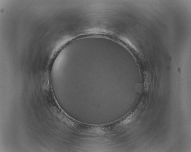 X0000063461358200601271554