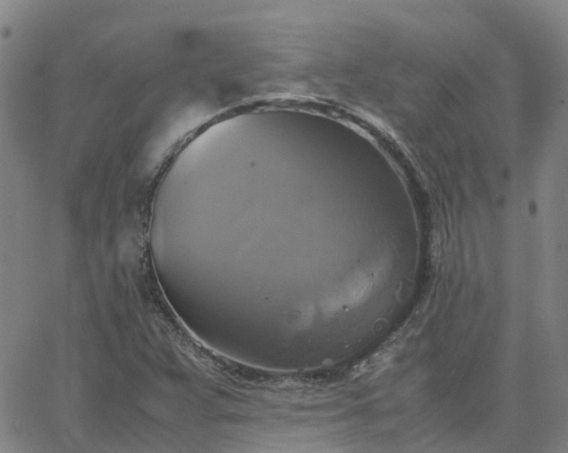 X0000063461359200601271554