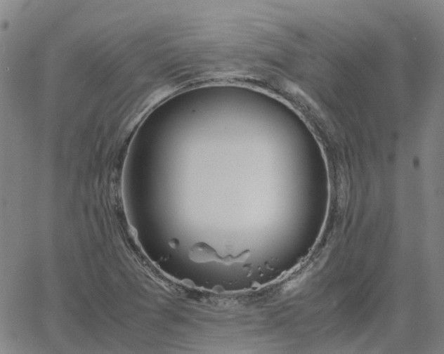 X0000063461361200601271554