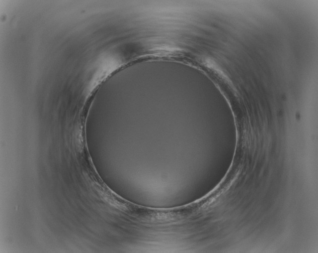 X0000063461362200601271554