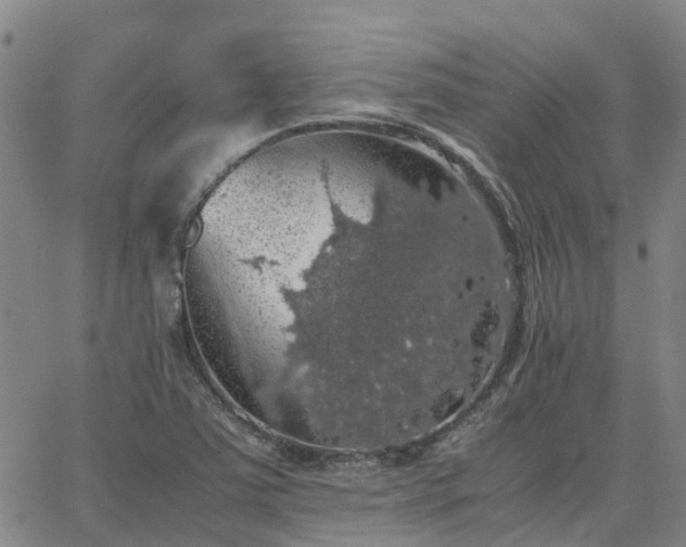 X0000063461363200601271554