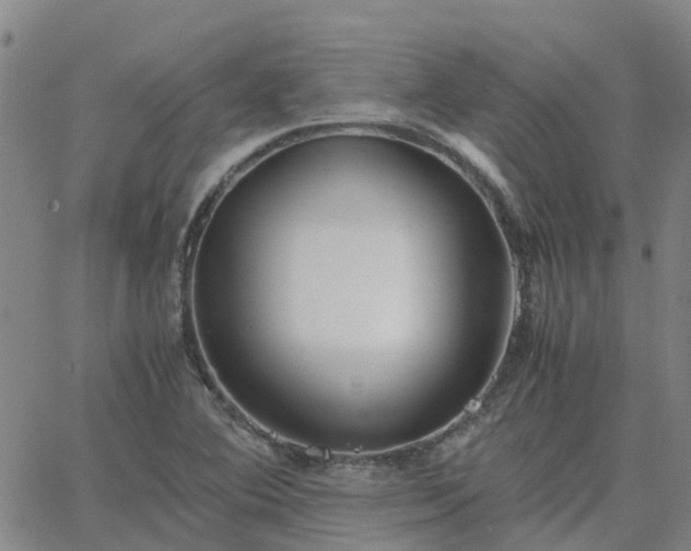 X0000063461364200601271554