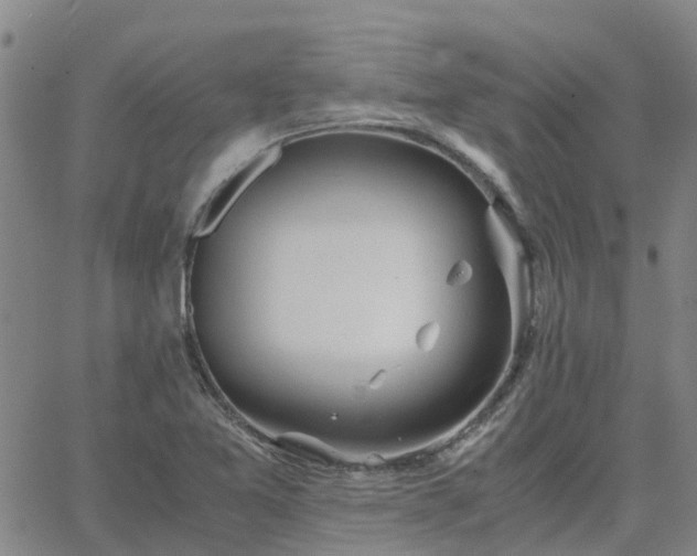 X0000063461365200601271554