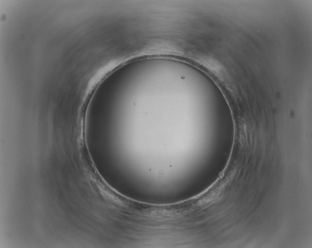 X0000063461366200601271553