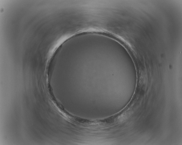 X0000063461367200601271553