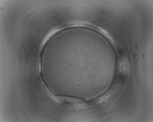 X0000063461368200601271553