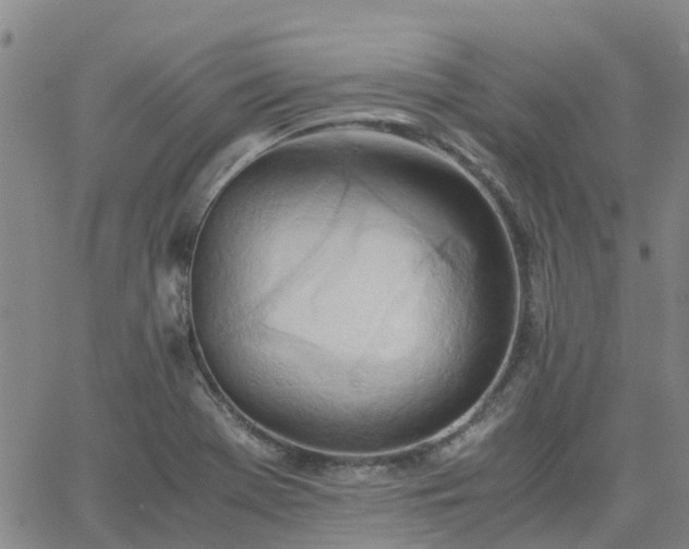 X0000063461369200601271553