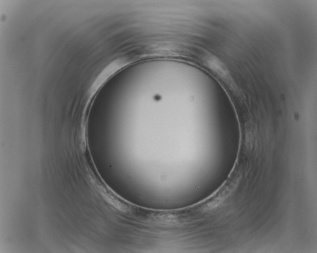 X0000063461370200601271553