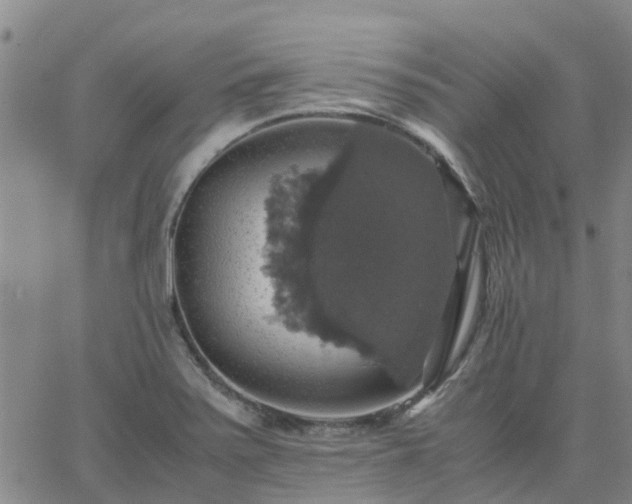 X0000063461371200601271553