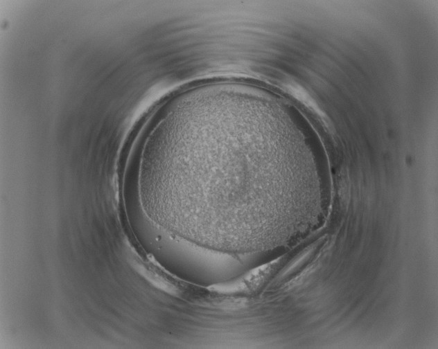 X0000063461372200601271553