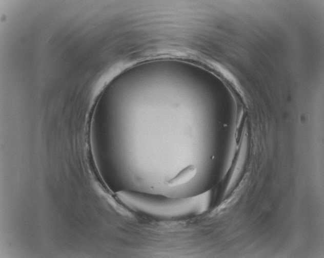 X0000063461373200601271553