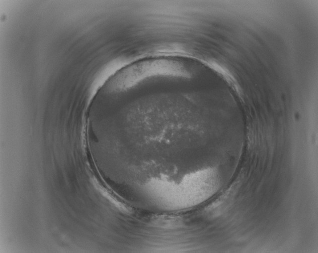 X0000063461374200601271553