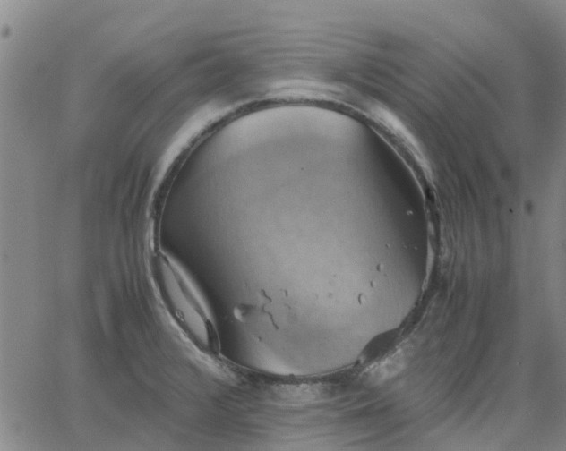 X0000063461376200601271553