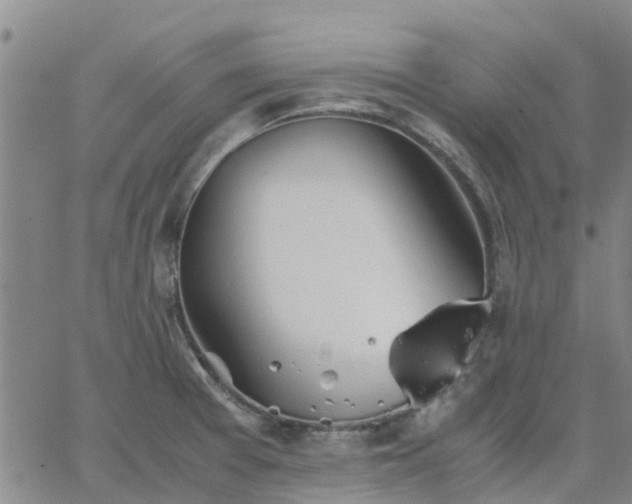 X0000063461377200601271553