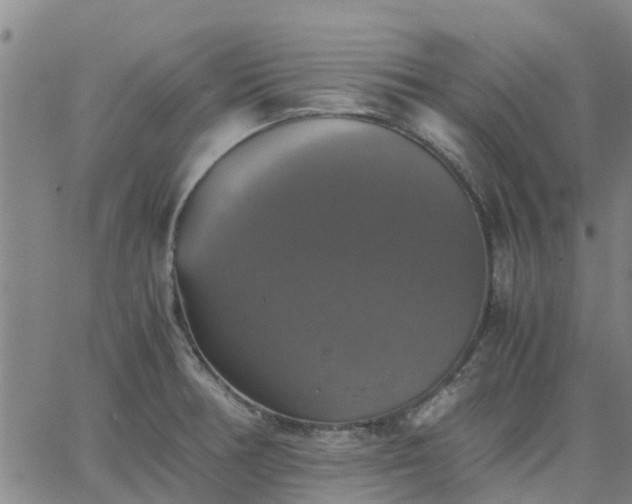 X0000063461378200601271553