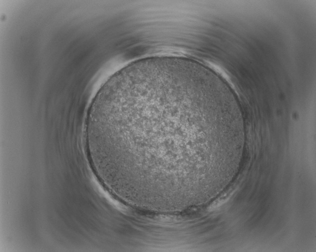 X0000063461379200601271553