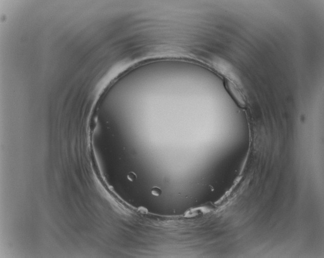 X0000063461380200601271553