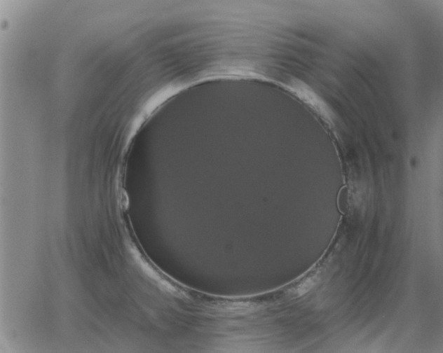 X0000063461382200601271553